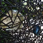 Appartamento Peggy-guggenheim Venezia